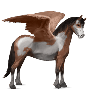 pegasosponi connemaranponi tummanruunikko