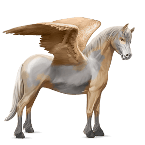 pegasosponi connemaranponi kellanvaalea