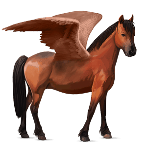 pegasosponi newforestinponi punaruunikko