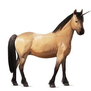 yksisarvisponi welshponi harmaanruskea