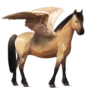 pegasosponi ylämaanponi harmaanruskea