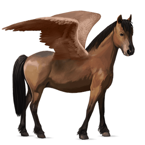 pegasosponi ylämaanponi ruunikko