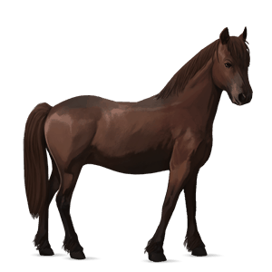 poni sysirautias