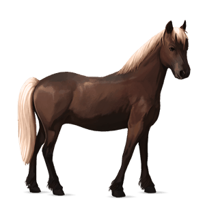 poni newforestinponi sysirautias, liinaharja