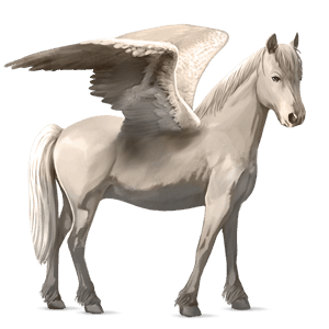 pegasosponi hallakko