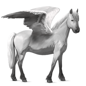 pegasosponi ylämaanponi harmaa