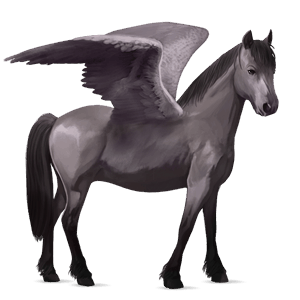 pegasosponi ylämaanponi harmaa