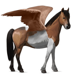pegasosponi ruunikko, tobiano