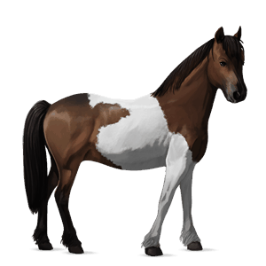 poni kerryboginponi rautias