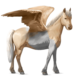 pegasosponi haflingerinhevonen liinakko