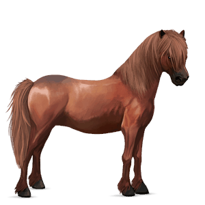 poni rautias