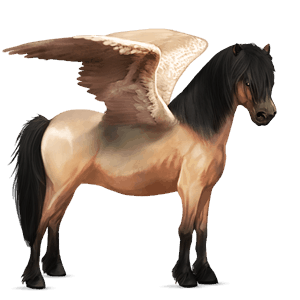 pegasosponi kerryboginponi harmaanruskea