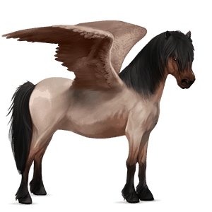 pegasosponi tummanruunikko