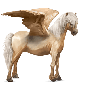 pegasosponi palomino