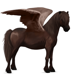 pegasosponi shetlanninponi sysirautias