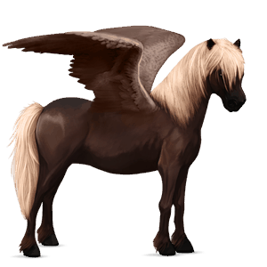 pegasosponi shetlanninponi ruunikko, tobiano