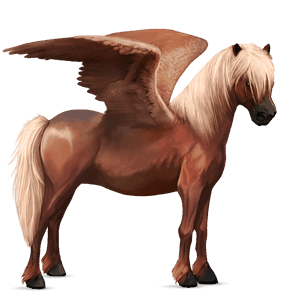 pegasosponi haflingerinhevonen liinakko