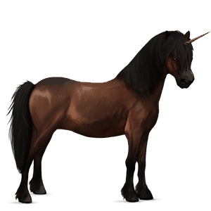 yksisarvisponi belgian ratsuponi ruunikko