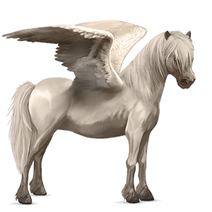 pegasosponi connemaranponi vaaleankimo