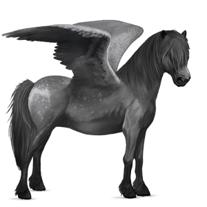pegasosponi papurikkotäpläinen kimo