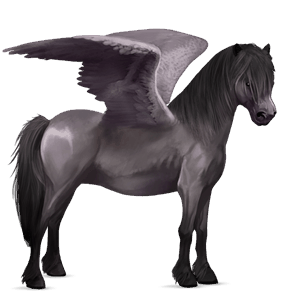 pegasosponi ylämaanponi harmaa