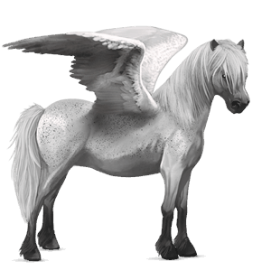 pegasosponi ylämaanponi harmaa