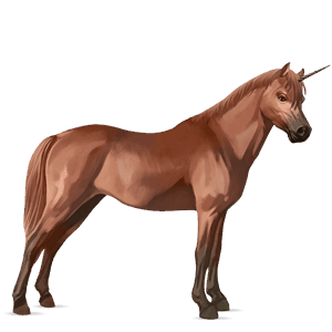 yksisarvisponi shetlanninponi rautias