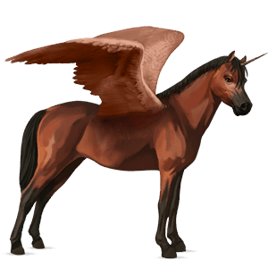 siivekäs yksisarvisponi  welshponi punaruunikko