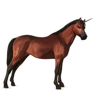 yksisarvisponi welshponi punaruunikko