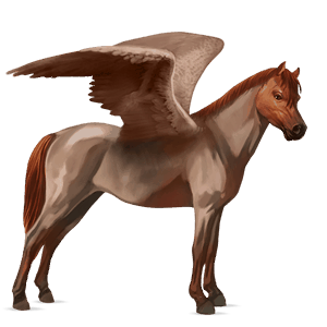 pegasosponi belgian ratsuponi harmaa