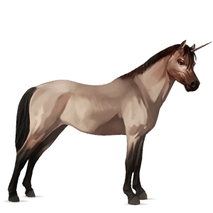 yksisarvisponi welshponi päistärikkö