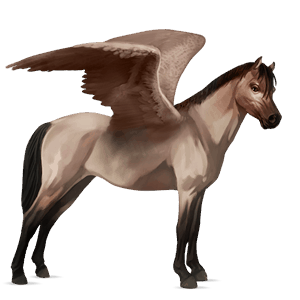 pegasosponi belgian ratsuponi rautiaanpäistärikkö