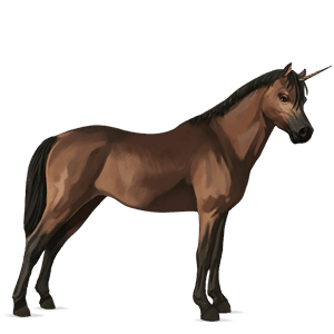 yksisarvisponi welshponi ruunikko