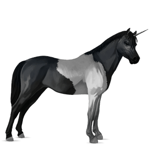 yksisarvisponi palomino