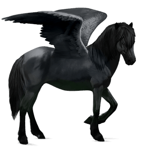 ratsupegasos tennesseenwalker kellanvaalea