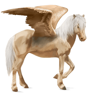 ratsupegasos islanninhevonen palomino