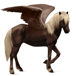 ratsupegasos suomenhevonen ruunikko