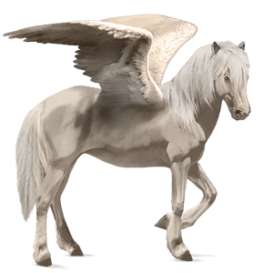 ratsupegasos american bashkir curly sysirautias, tobiano