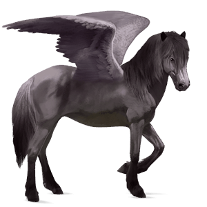 ratsupegasos suomenhevonen ruunikko
