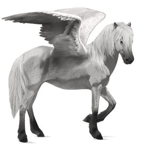 ratsupegasos suomenhevonen liinakko