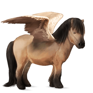 pegasosponi shetlanninponi harmaanruskea