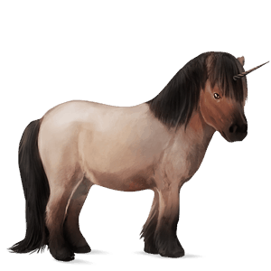 yksisarvisponi shetlanninponi punaruunikko