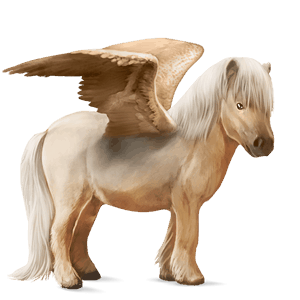 pegasosponi shetlanninponi harmaa