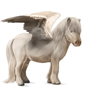 pegasosponi shetlanninponi kellanvaalea