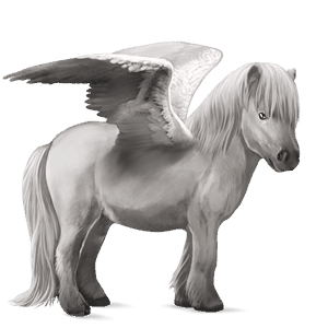 pegasosponi shetlanninponi sysirautias
