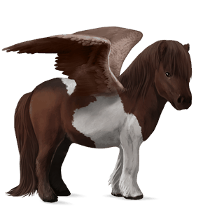 pegasosponi shetlanninponi tummanruunikko, tobiano