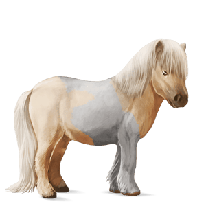 poni voikko, tobiano