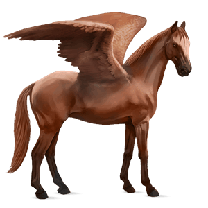 ratsupegasos ruunikko