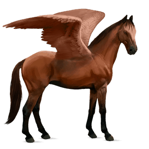 ratsupegasos appaloosa ruunikko, lumihiutalekuvio