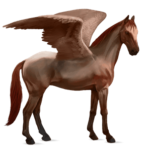 ratsupegasos ranskanpuoliverinen rautias
